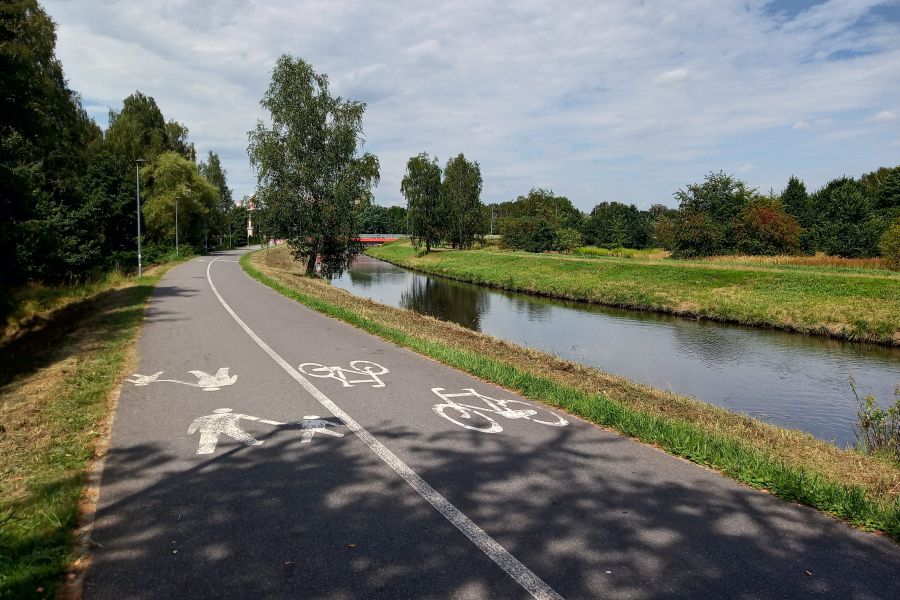Zielony Tydzień w Rybniku. Warsztaty, spacery i akcje dla klimatu